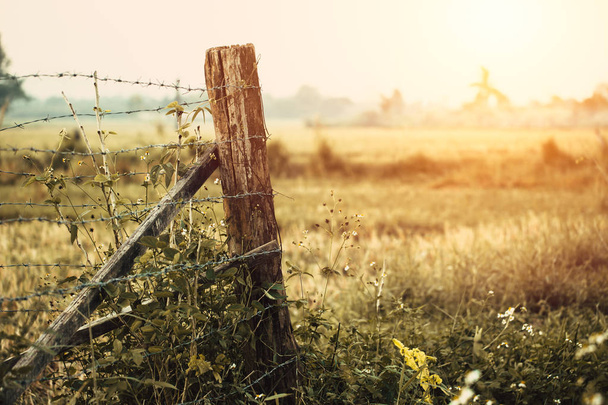 Ограничить область сухая засушливая трава сельской местности жаркий летний сезон забор фермы
 - Фото, изображение