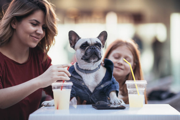 Mother and daughter enjoying with their French bulldog in cafeteria. Selective focus on dog - Foto, Imagen