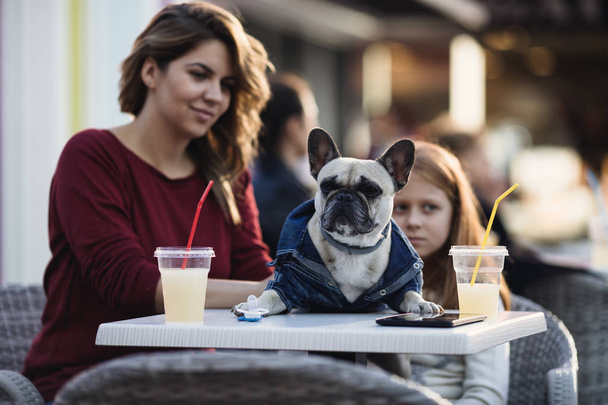 Mother and daughter enjoying with their French bulldog in cafeteria - Foto, afbeelding