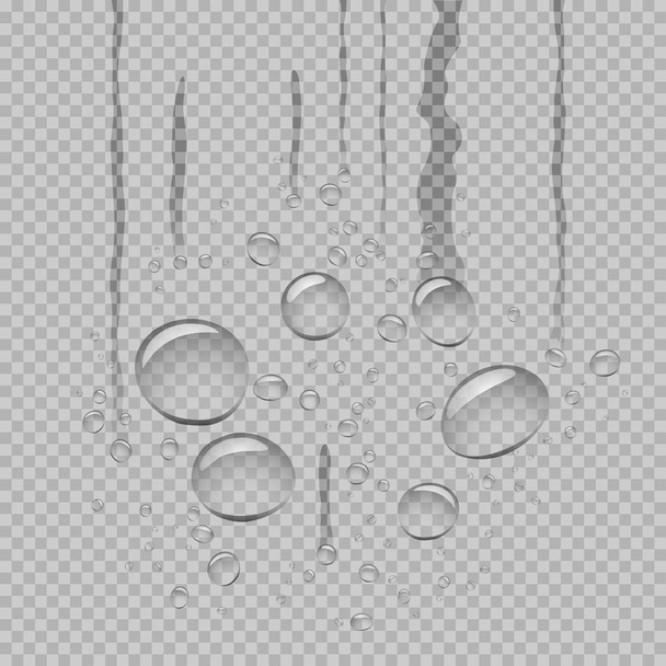 water droplets flow down gray transparent - Vector, Image