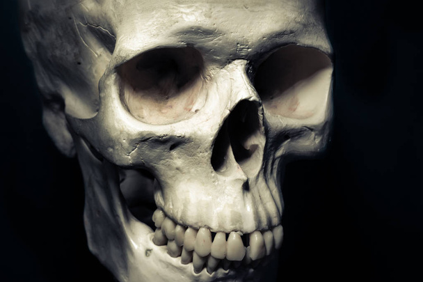Emberi koponya elszigetelt, veszély koncepció - Fotó, kép