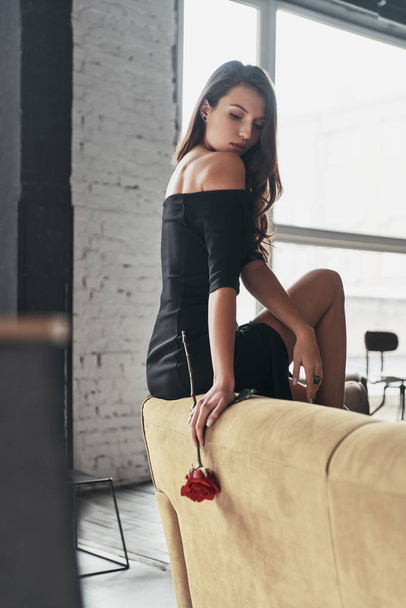 fashionable brunette woman in black elegant dress posing at home and holding red rose flower - 写真・画像