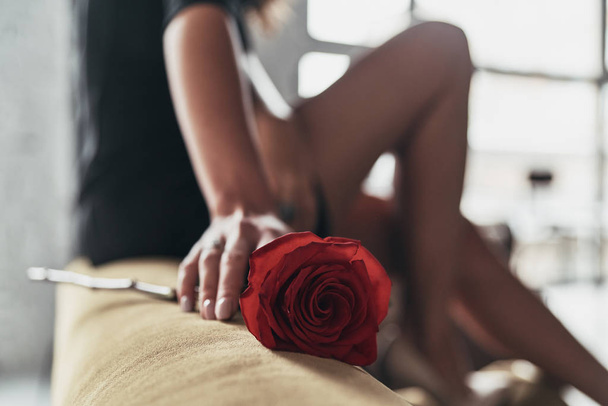 Close up of woman in elegant black dress holding a red rose while sitting on the sofa - Foto, immagini