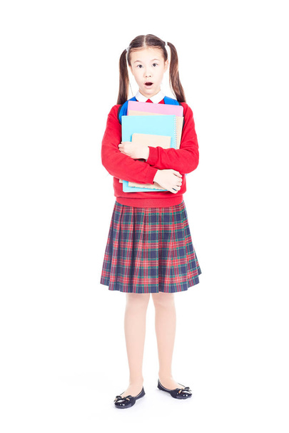 Schoolgirl with books - Φωτογραφία, εικόνα