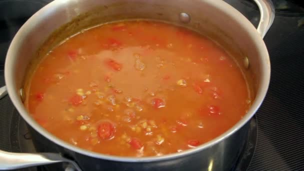tomato lentils and barley soup boiling - Footage, Video