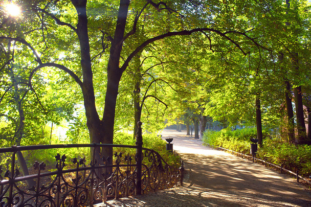 Park in spring time - Photo, Image