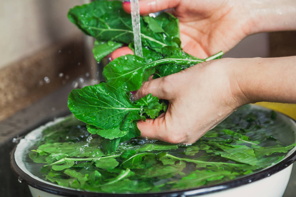 Hands of woman washing green leaves of arugula - 写真・画像