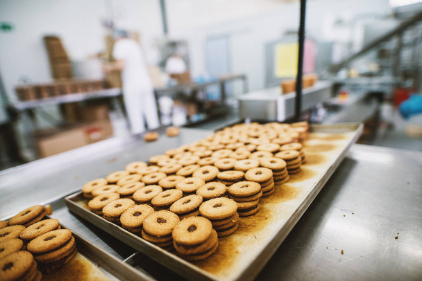 processo di produzione di biscotti in fabbrica, industria alimentare. Molti biscotti su vassoio
 - Foto, immagini