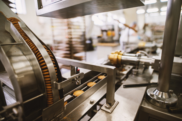 Процесс производства печенья на заводе, пищевой промышленности
 - Фото, изображение