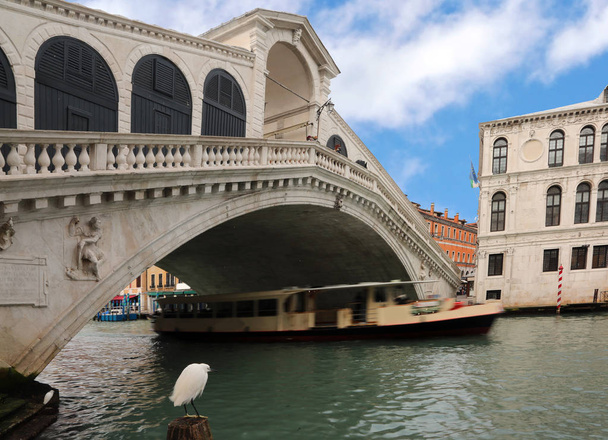 Puente de Rialto en Venecia con el vaporetto moviéndose en el Grand C
 - Foto, Imagen