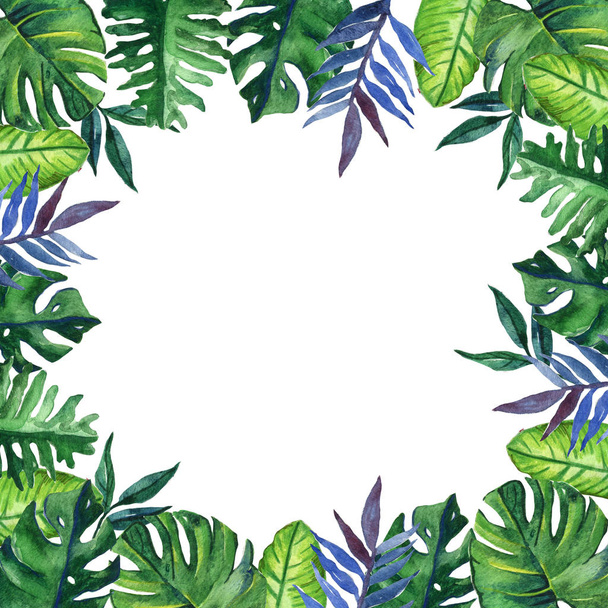 Hand drawn tropical watercolor round frame with exotic palm, banana leaves on white background. Space for your text. Square format. - Foto, afbeelding