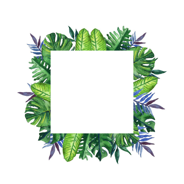 Hand drawn tropical watercolor square frame with exotic palm, banana leaves on white background. Space for your text. Square format. - Foto, Imagen