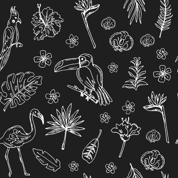Hand drawn doodle tropics seamless pattern - Vettoriali, immagini