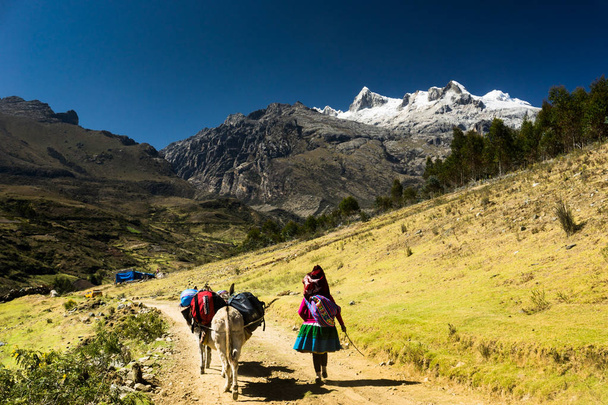 hembra Indio portera y burros transportando material para una expedición de montañismo en la Cordillera Blanca en los Andes en Perú
 - Foto, Imagen