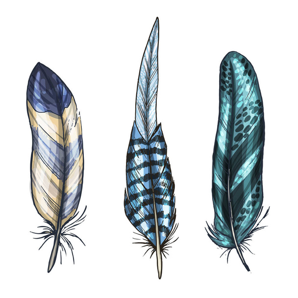 Colorful detailed bird feathers, isolated on white background. Vector illustration. - Vector, Imagen