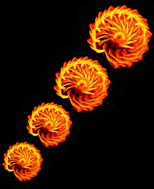 Abstract fire flames. Fire flower. Fire flames on black background for design - Fotoğraf, Görsel