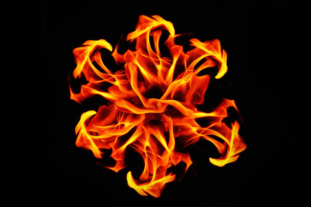 Abstract fire flames. Fire flower. Fire flames on black background for design - 写真・画像