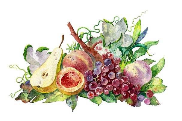 Fruits on white background. Beautiful fruits drawn in watercolor. Colorful handmade watercolors. - Foto, Imagem