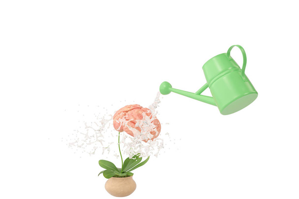 Watering pots sprinkle water to plants and brain.3D illustration - Фото, изображение