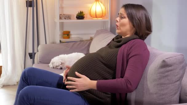Pregnant woman sitting on sofa feeling strong contractions screaming medium shot - Кадры, видео