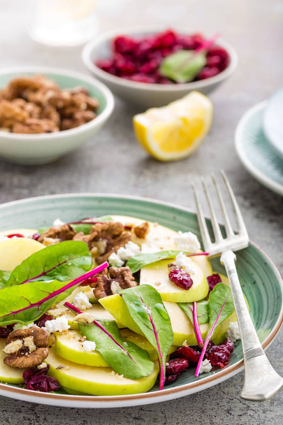 Healthy fruit salad with fresh green apple, cranberry, walnuts, cheese and mangold leaves. Diet menu - Fotoğraf, Görsel