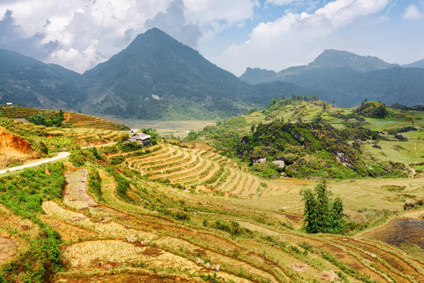 View of terraced rice fields among the Hoang Lien Mountains - Foto, Imagen