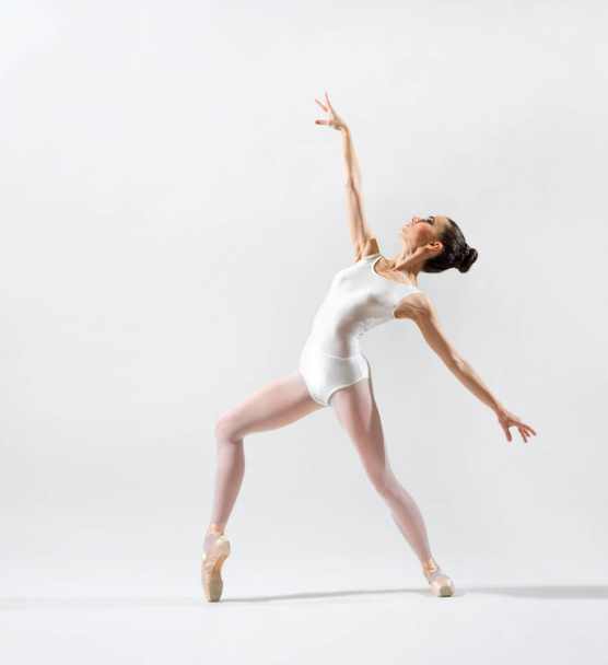 Ballerina (on grey version) - Foto, Imagem
