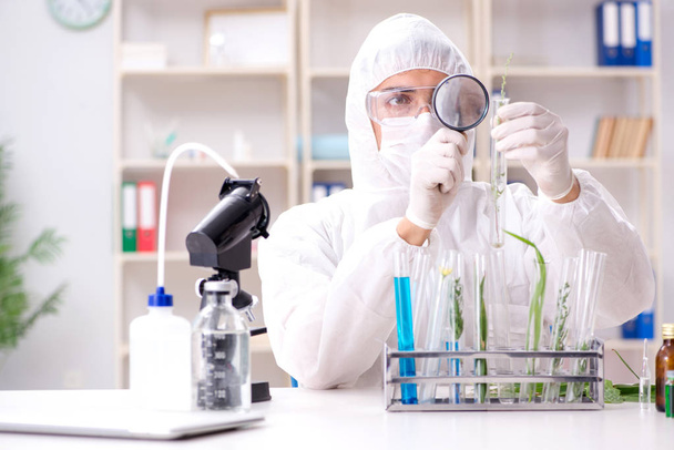 Biotechnology scientist chemist working in lab - Foto, imagen