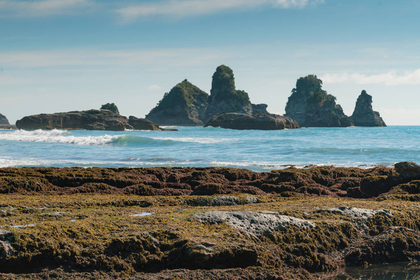 Motukiekie west coast, Új-Zéland strand, természetes táj háttér - Fotó, kép