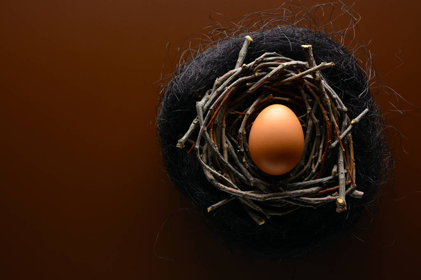 Easter background. Brown chicken egg in the nest of twigs - Fotoğraf, Görsel