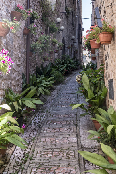 Spello Перуджа, середньовічне місто - Фото, зображення