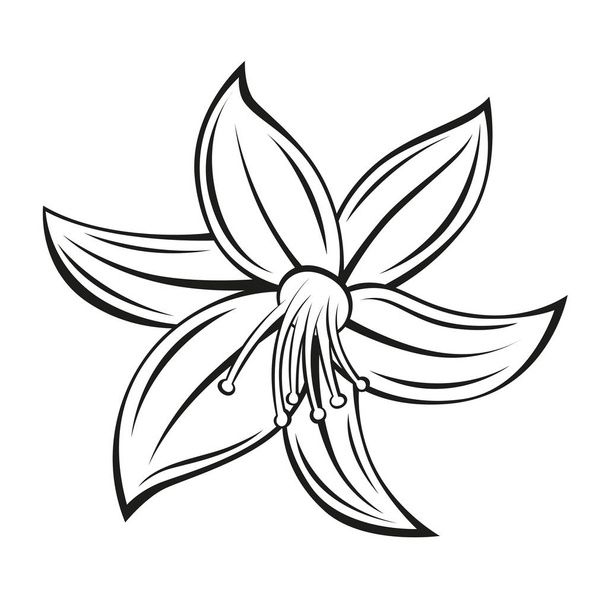vector drawn stylized flower - Vektör, Görsel