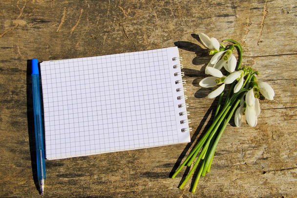 Bouquet of white snowdrops with blank notepad and pen - Foto, Imagen