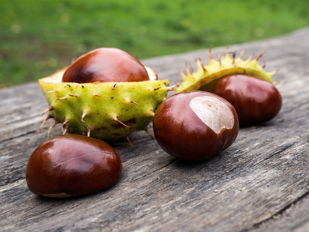 Chestnuts background - Photo, Image