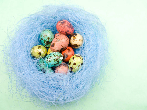 Ovos de cor de Páscoa de codorniz em ninho em fundo verde pastel. Fechar
. - Foto, Imagem