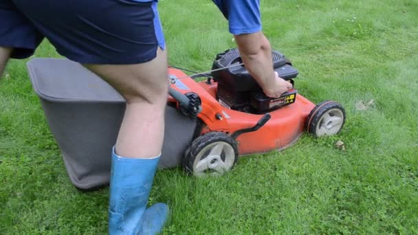 Worker push grass mower - Footage, Video