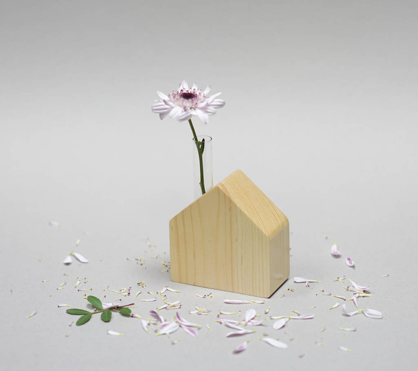 Flower in a toy house - 写真・画像