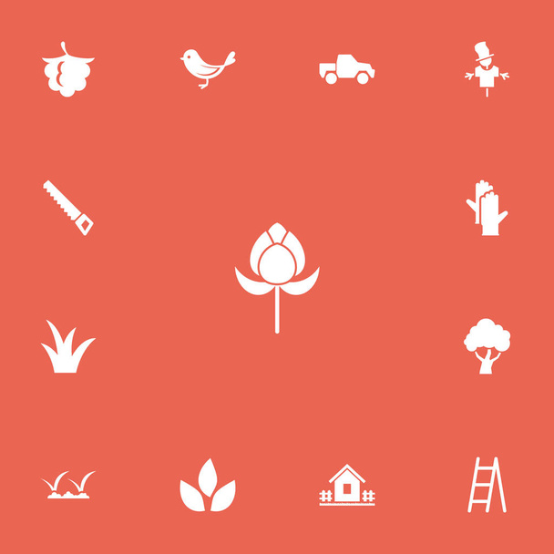 Set van 13 bewerkbare landbouw iconen. Bevat symbolen zoals Beugelzaag, scarecrow, vogel en meer. Kan worden gebruikt voor web, mobiel, ontwerp Ui en infographic. - Vector, afbeelding