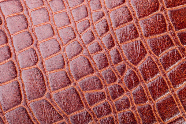 Crocodile leather brown skin pattern - Photo, Image
