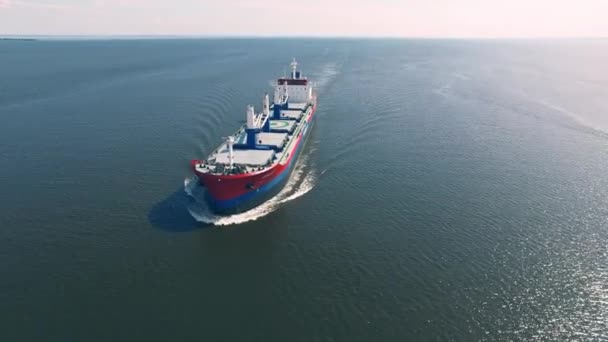 Cargo ship sailing in the sea - Footage, Video