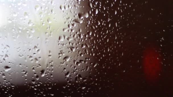 雨の滴が落ちるガラス車 - 映像、動画