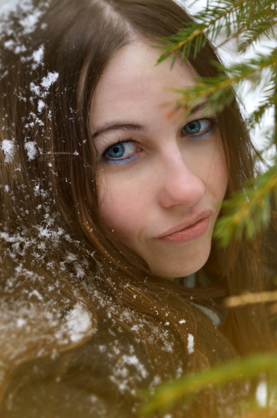 πορτρέτο του μια νεαρή γυναίκα με μαλλιά πασπαλισμένες χιονιού σε ένα ηλιόλουστο wi - Φωτογραφία, εικόνα