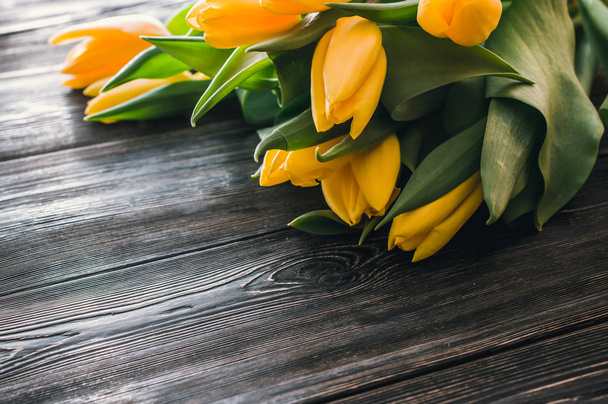 yellow tulips for your beloved woman - Foto, imagen