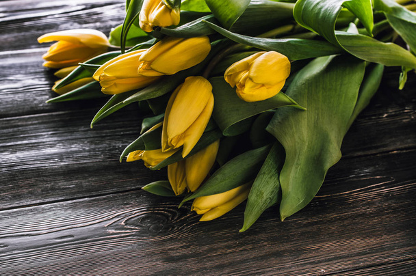 yellow tulips for your beloved woman - Foto, Imagen