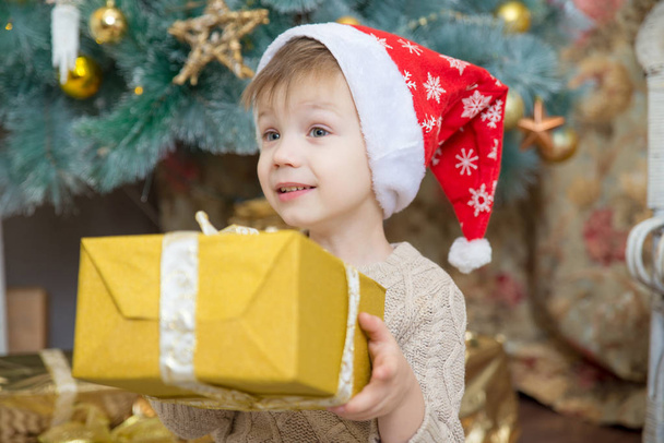 a boy in a red hat sits at a Christmas tree with a gift - 写真・画像