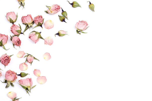 Border of small dry roses on white background. Place for text.  - Foto, Imagem