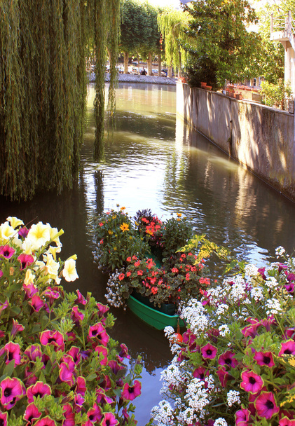 Ποταμός στα λουλούδια - Φωτογραφία, εικόνα