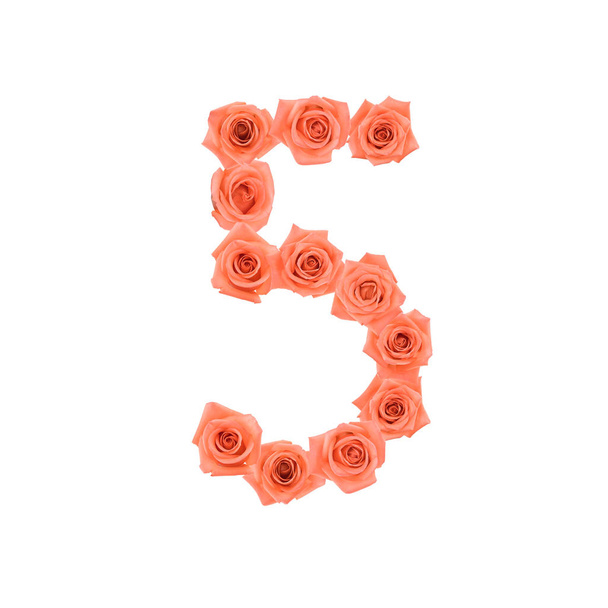 Номер 5 из оранжевых роз, выделенных на белом фоне
 - Фото, изображение