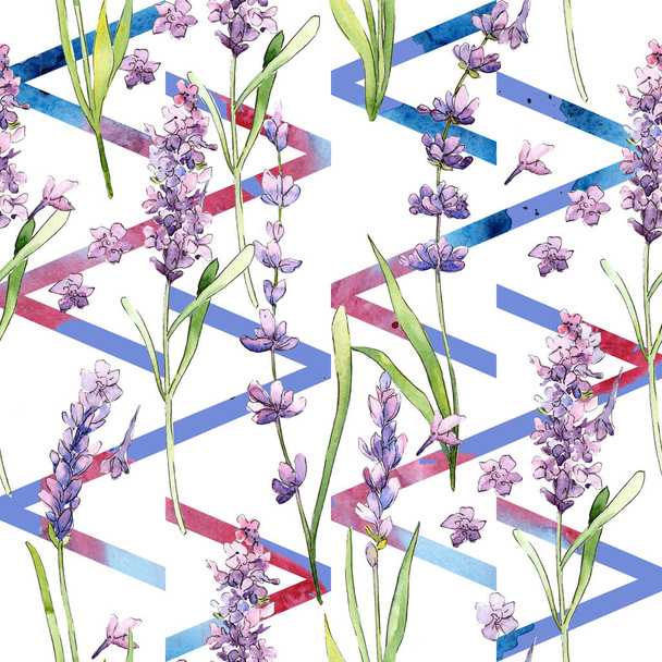 Wildflower lavender flower pattern in a watercolor style. - Foto, Bild
