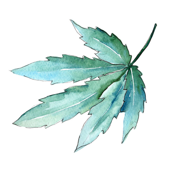 Cannabis leaves  in a watercolor style isolated. - Фото, изображение